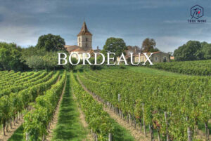 Bordeaux wine