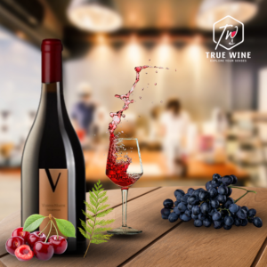 Rượu vang Italy Viento Norte – Limited